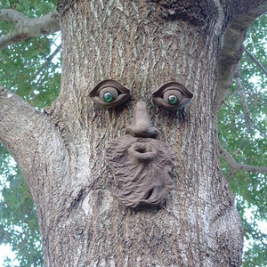 Whistlin' Pete Tree Face Concrete Garden Decor image 1