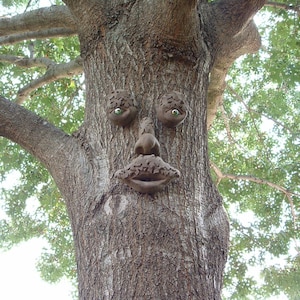 Mr. MapleShade Tree Face Concrete Garden Decor Gift