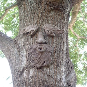 May include: A tree trunk with a carved face, featuring eyes, a nose, and a mouth. The face is made of brown clay and is attached to the tree.