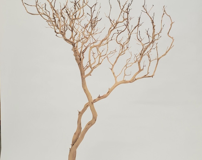 Natural Sandblasted Manzanita Branch | Dried Wood Decor For