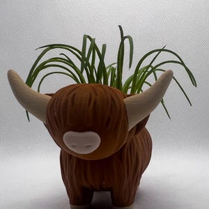 Multifunktionaler Highland Scottish Kuh Pflanzer, Ringschmuckhalter