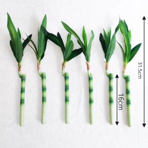 Op de afbeelding: Vijf kunstmatige bamboe planten met groene bladeren en bruine stengels. De planten zijn ongeveer 80 cm hoog en 40 cm breed.
