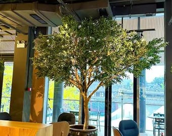 Puede incluir: Un gran árbol en maceta con hojas verdes se encuentra en un restaurante moderno. El árbol está en una maceta marrón y está rodeado de mesas y sillas. El restaurante tiene grandes ventanales que dan a una calle de la ciudad.