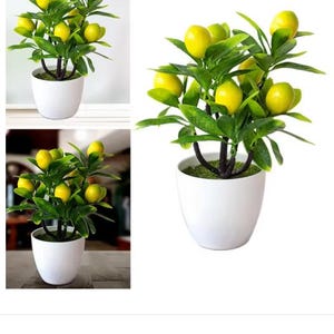 May include: A potted artificial lemon tree with green leaves and yellow lemons. The tree is in a white ceramic pot.