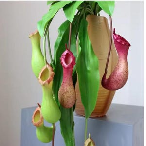 Hängande gröna växter Konstgjorda kannaväxter