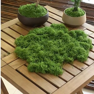 Może przedstawiać: Drewniany blat stołu z zielonym dywanem z mchu, dwie doniczki z zielonym mchem i brązową drewnianą podstawą.