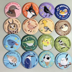 May include: A collection of sixteen circular embroidered patches featuring various bird species, each with its scientific name stitched in a curved arc. The colorful designs include detailed threadwork of birds like owls, ducks, and songbirds on fabric backgrounds.