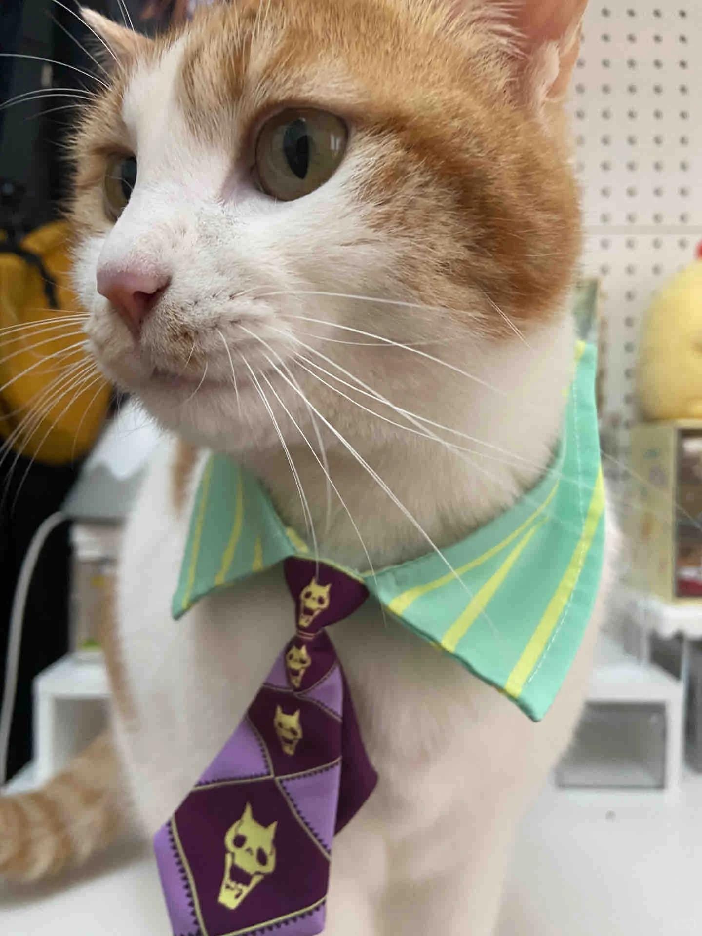 Jojo Bizarre Adventure Shoes - Etsy