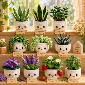 以下が含まれることがあります： 笑顔の顔が刺繍された10個の編みぐるみ鉢植え。アロエベラ、サンセベリア、金のなる木、グリーンネックレス、玉つづり、ハオルチア、スミレ、ラベンダー、イチゴ、クローバーがあり、それぞれに名前が書かれた木製のタグが付いています。