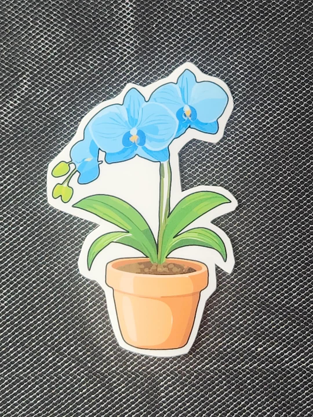 Orchid Sticker Blue Orchid Sticker – Elegant Potted Floral Decal - Etsy