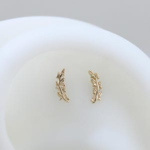 Pendiente de hélice con forma de hoja de olivo en oro macizo de 14 quilates, pequeño pendiente de cartílago con forma de hoja sin rosca y cierre a presión, joyería minimalista para piercing de tragus con diseño de planta.