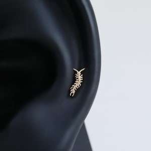 May include: A gold-toned earring shaped like a small centipede with multiple legs and antennae, positioned on the cartilage area of a black ear display model. The jewelry features a textured, segmented body design with a metallic finish.