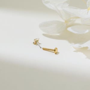 May include: Two gold nose rings, one with a small round ball and the other with a star-shaped design. The rings are on a white background.