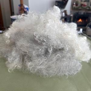 May include: A large pile of light gray, curly fiber, possibly wool or a similar material, rests on a green surface. The fibers have varying shades of gray, creating a textured appearance. The background is blurred, suggesting an indoor setting.