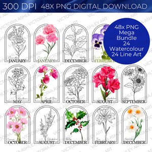 MEGA BUNDLE 48 Birth Flower PNG Files, Line Art Digital File For Sublimation, Watercolour Birth Flower For Each Month, Printable Digital