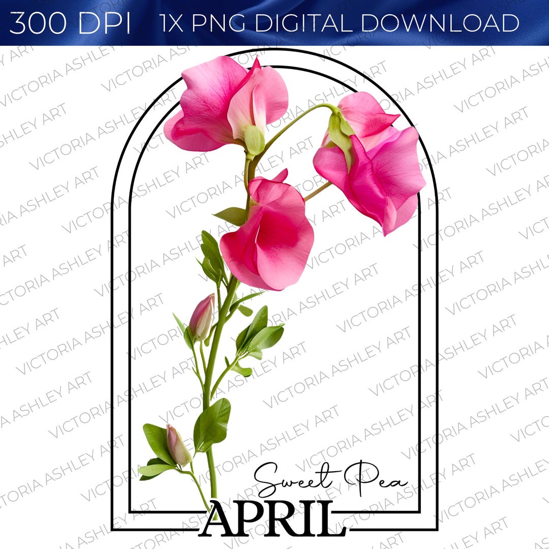 April Birth Flower Sweet Pea PNG Digital Download, Spring Floral ...