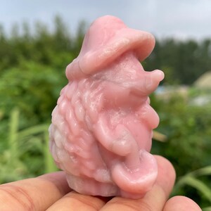 Puede incluir: Figura rosa de un gnomo con sombrero y un objeto pequeño. El gnomo tiene una superficie texturizada y se encuentra sobre un fondo verde borroso.