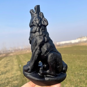 6.3&#39;&#39;Natural Obsidian wolf skull,Crystal wolf skull,hand carved,crystal wolf skull,wolf skull,Home Decoration Crystal Gifts 1pc