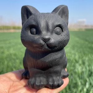 Cráneo de gato de obsidiana natural de 3,9 pulgadas, cráneo de cristal, tallado a mano, cráneo de cristal, cráneo de gato, decoración del hogar, regalos de cristal, 1 pieza
