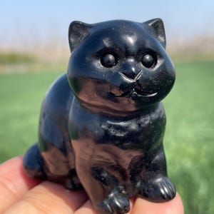 Cráneo de gato de obsidiana natural de 2,5 pulgadas, cráneo de cristal, tallado a mano, cráneo de cristal, cráneo de gato, decoración del hogar, regalos de cristal, 1 pieza