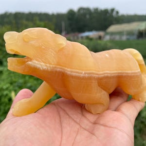 7.4&quot;Natural Geode stone Tiger skull,Quartz crystal Tiger skull quartz crystal gifts home decoration crystal energy healing 1pc