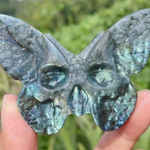 3.1&#39;&#39;Natural Labradorite butterfly skull,Crystal butterfly skull,hand carved,crystal skull,Home Decoration Crystal Gifts 1pc