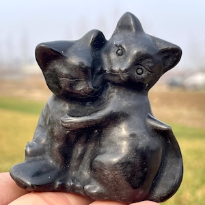 Cráneo de gato de obsidiana natural de 2,5 pulgadas, cráneo de cristal, tallado a mano, cráneo de cristal, cráneo de gato, decoración del hogar, regalos de cristal, 1 pieza