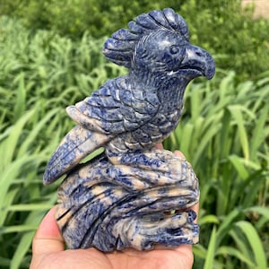 5.7&#39;&#39;+Natural Sodalite bird skull,Quartz Crystal bird,hand carved,crystal skull,parrot skull,Home Decoration Crystal Gifts/pc