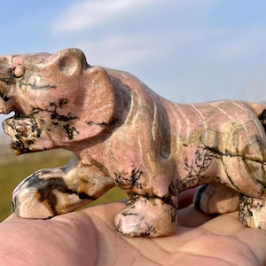 5.9&#39;&#39;+ Natural Rhodonite quartz tiger skull,quartz crystal,hand carved,Crystal Tiger,Tiger skull,Home Decoration Crystal Gifts