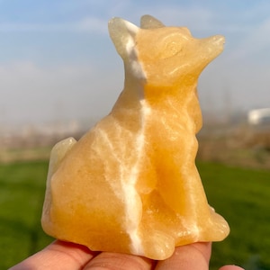2.5&#39;&#39;Natural yellow calcite fox quartz skull,Crystal fox skull,hand carved,crystal fox skull,fox skull,Home Decoration Crystal Gifts 1pc