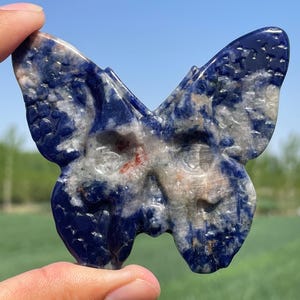 3.1&#39;&#39;Natural Sodalite butterfly skull,Crystal butterfly skull,hand carved,crystal skull,Home Decoration Crystal Gifts 1pc