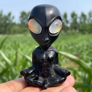 3.1&#39;&#39;Natural Obsidian Alien skull,Crystal Aliens skull,hand carved,crystal Alien skull,Alien skull,Home Decoration Crystal Gifts 1pc