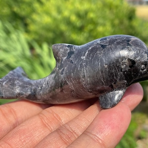 3.4&#39;&#39;+ Natural spectrolite dolphin skull Hand carved dolphin,Quartz crystal skull,Crystal dolphin,,Home Decoration Gifts,random 1pc