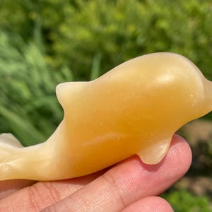 3.4&#39;&#39;+ Natural Geode stone dolphin skull Hand carved dolphin,Quartz crystal skull,Crystal dolphin,,Home Decoration Gifts,random 1pc