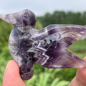 2 &quot;Natural Dreamy Amethyst Kolibri Schädel, Kristall Vogel Schädel handgemachte Quarz Kristall Geschenke Dekoration Kristall Energie Heilung 1 Stk.&quot;