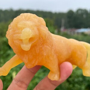 5.3&quot;Natural Geode stone lion skull,Quartz crystal lion skull quartz crystal gifts home decoration crystal energy healing 1pc