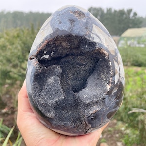 Op de afbeelding: Een grote, eivormige geode met een gepolijste, donkergrijze buitenkant en een diepe, met zwarte kristallen gevulde holte. De geode wordt in een hand gehouden, wat de grootte en natuurlijke schoonheid laat zien.