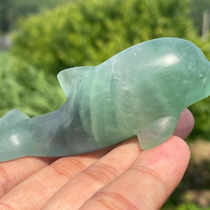 3.4&#39;&#39;+ Natural Fluorite dolphin skull Hand carved dolphin,Quartz crystal skull,Crystal dolphin,,Home Decoration Gifts,random 1pc