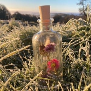 Compositions florales en petites bouteilles - production été 2025