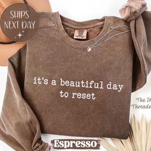 May include: A brown sweatshirt with the phrase "it's a beautiful day to reset" in white lettering. The crew neck top has long sleeves and a small tag on the upper back. A gold necklace is draped across the front.