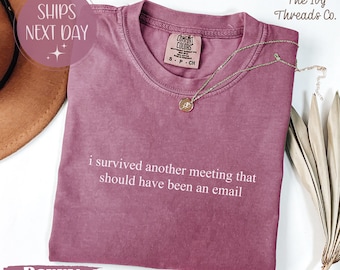 Comfort Colors 'Another Meeting' T-Shirt, Funny Office Humor