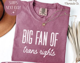 Comfort Colors Trans Rights T-Shirt, LGBTQ Pride Ally Tee