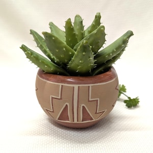 May include: A small, round, terracotta-colored pot with a geometric design in a lighter tan color. The pot contains a green succulent plant with spiky leaves. The pot is on a white surface.
