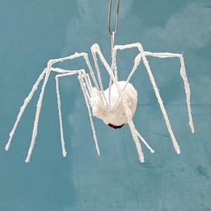 May include: A white, glitter-covered spider decoration with long, slender legs. The spider is suspended by a silver clip against a teal background. The spider's body is a round shape with a dark brown spot.