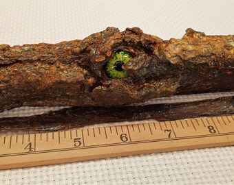 Tree Spirit, The Eye of the Cottonwood, Altered Natural Bark Shedding, Mystical Art, Spirit Animal, Animal Guide, Spirit Helper, Altered Art