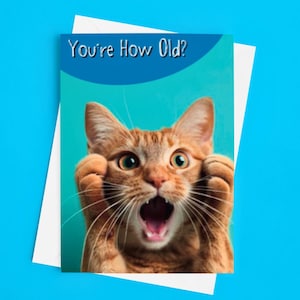 Carte d'anniversaire drôle de chat, carte drôle de chat, carte humoristique de chat, carte de chat originale, carte de chat insolite, carte d'amant de chat - vous avez quel âge ?