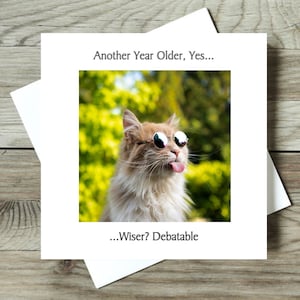 Carte d'anniversaire drôle de chat, carte drôle de chat, carte humoristique de chat, carte de chat originale, carte de chat insolite, carte d'amant de chat - un autre an