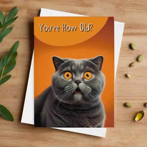 Carte d'anniversaire drôle de chat, carte drôle de chat, carte humoristique de chat, carte de chat originale, carte de chat insolite, carte d'amant de chat - vous avez quel âge ?