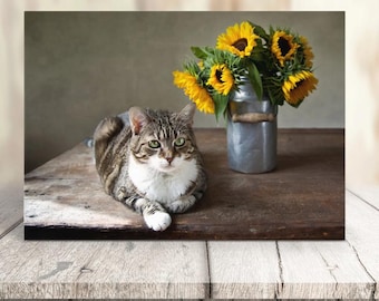 Fabulous Felines® Carte chat et tournesols, carte chat mignon, carte amoureux des chats avec des chats, carte dame chat, carte de voeux pour elle tournesols
