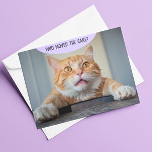 Cartão de aniversário engraçado de gato, amantes de gatos, engraçado, cartão de felicitações para amantes de bolos, em branco, presente, quem moveu o bolo? por Fabulous Felines®